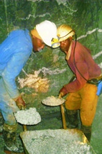 Miners